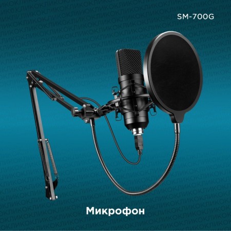 Microphone Wending call SM-700G 2.5m black-1