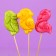 Caramel candy figure Sweet Ness Paradise birds, 24 g