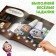 Kruzhoki stickers “Who eats what?”, 16 p., A5, Masha and the bear