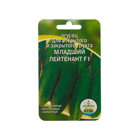 Seeds of cucumber "Junior Lieutenant", 10 pcs