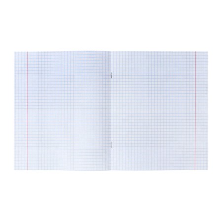 Notebook A5, 48 sheets in the Calligrata Bummininyl cage, offset block, green-2