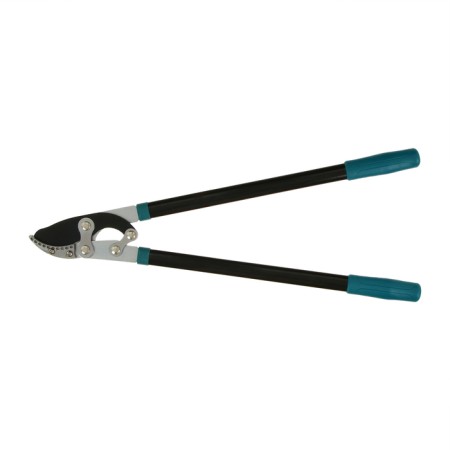 Badkorez, professional, 31 "(79 cm), mix, Greengo