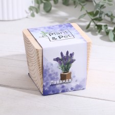 Set for growing P&P 