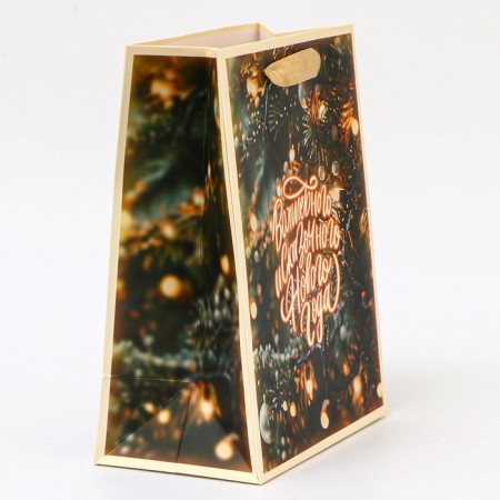 Laminated Packet "Magic and Fairytale New Year", MS 18 × 23 × 10 cm-1