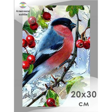 Diamond mosaic "Winter Bird", 20 × 30 cm