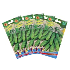Seeds of cucumber 