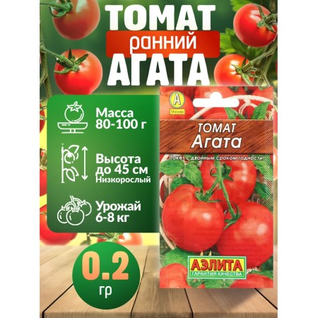 Set of tomato seeds stunted without stepson-2