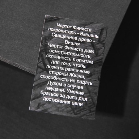 Busina-charm from jewelry bronze "The Finist Hall"-1