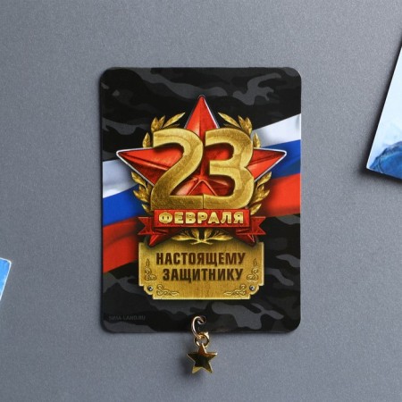 Magnet with the suspension "Real Defender", 6 x 8 cm-3