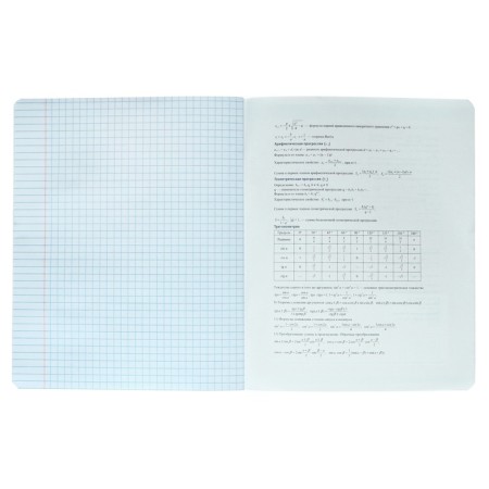 Notebook subject “phrases with character”, 48 sheets in the “algebra” cage, covered cardboard, selective twin-lak, UV-lak, block offset-4