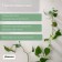 Fastards for climbing plants, wall, self -adhesive, “snail”, d = 10 mm, Greengo