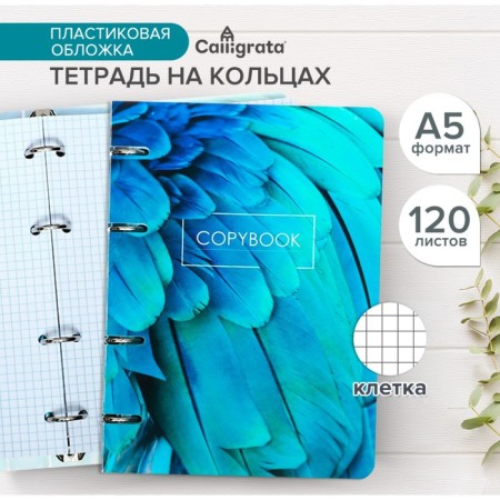 Notebook on rings A5 120 sheets in the Calligrata EXTOTIA cell, plastic cover, offset unit