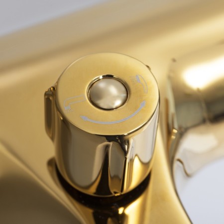 Wasserkraft sauer 7101 bath mixer, single -leaf, watering can, pour 181 mm, gold-4