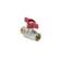 Balloon Aquasfera Euro 1004-01, 1/2 ", PN40, internal/outer thread, butterfly, nickel