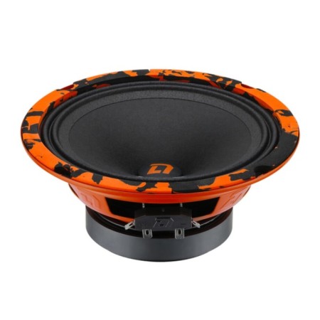 Acoustics-CC DL Audio Barracuda 165