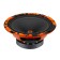 Acoustics-CC DL Audio Barracuda 165