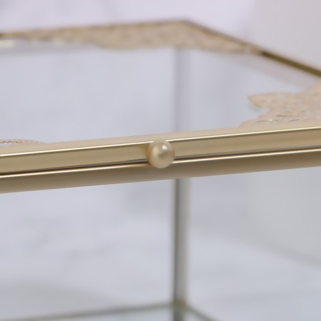 Great organizer for storage, with a lid, glass, with a mirror -bottom, 1 section, 15 × 15 × 8.5 cm, the color is transparent/copper-7