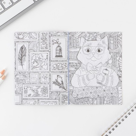 Questionnaire for girls "Kotik", A6, 16 sheets-12