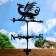 Woodpecker "Dragon" Big 500x600