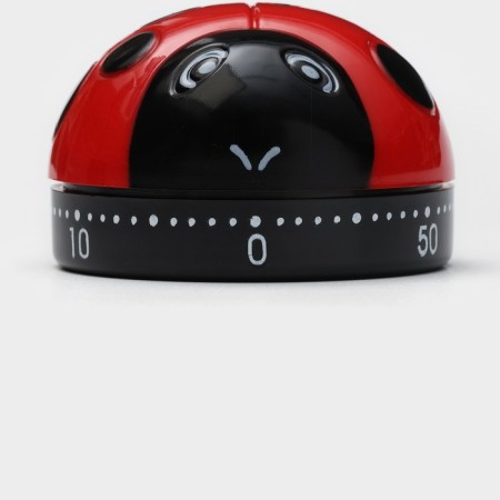 Mechanical Timer "God's Layer"-1