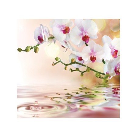 Organizer in a bath on suction cups "Tender Orchid", for storing toys and trifles, size 33x39 cm-1