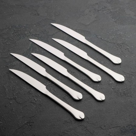 Stainless steel meat knives “drop”, length 22.5 cm, 6 pcs, silver color.-1