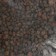 Drainage expanded clay FR 5-10, 1 liter