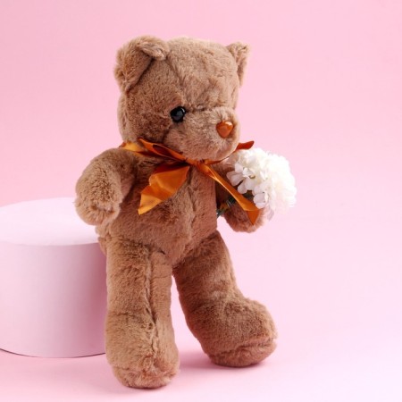 Soft toy "The most beautiful", brown bear-2