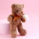Soft toy "The most beautiful", brown bear