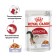 Wet feed RC Instinctive for cats, in jelly, spider, 85 g
