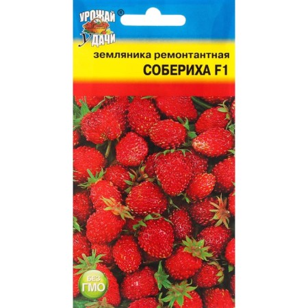 Strawberries "Collect", F1, 5 pcs