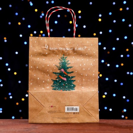 Gift package "Who has a Christmas tree today?" 26 x 32 x 12 cm-1