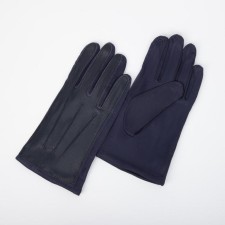 Gloves are male, dimensionless, without insulation, blue color