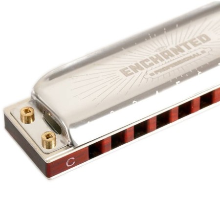 Harmonic harmonica EASTTOP, Pro30 F, diatonic