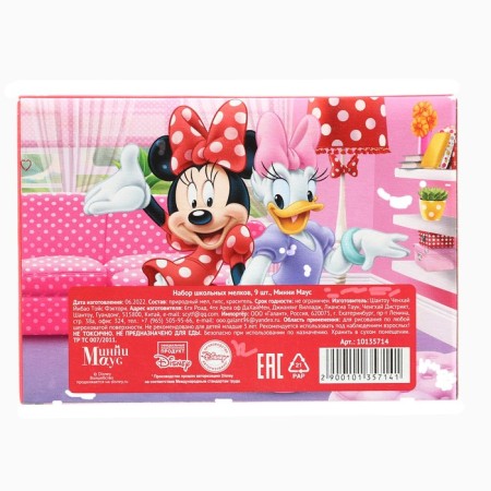 Loars of Color School 9pcs "Minnie Mouse", rectangular-6
