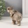 Souvenir Polystone "Seven Elephants in Popons with a magnificent flower" H-10; 9; 8; 7; 6; 5; 4 cm