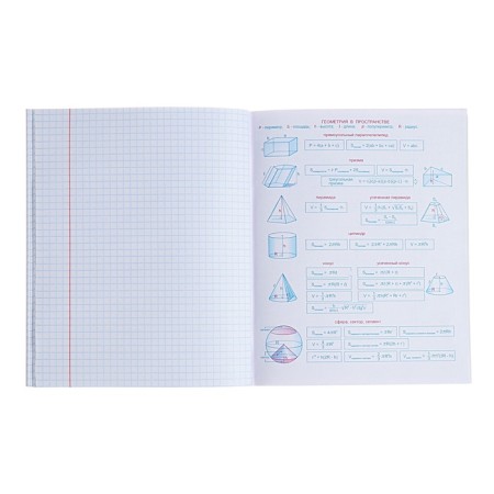 Subject “Domino”, 48 sheets in a cage, “geometry”, plastic cover, offset block-4