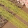 Capricon lace, 30 mm × 10 ± 1 m, yellow color