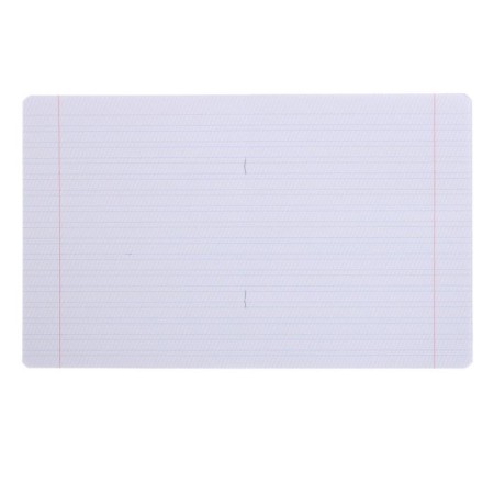 Notebook of 12 sheets, in a frequent slanting ruler, "panda-tetrand", covered cardboard, unit 80 g/m², is suitable for feathers and capillary handles-1