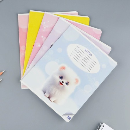 Notebook of 12 sheets in the roeer “September 1: Fluffy pets”, covered cardboard, block No. 1, 5 species mix-1