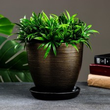 Flower pot 