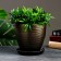 Flower pot "sophistication" brown, 2.4 liters