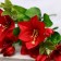 Bouquet "Lily Decorative" 29 cm, mix