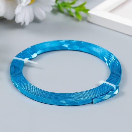 Wire for creativity "Astra" 5 mm, 3 m, blue