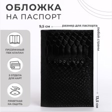 Cover for passport, black color