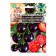 Seed Tomat "Envy" F1, 12 pcs