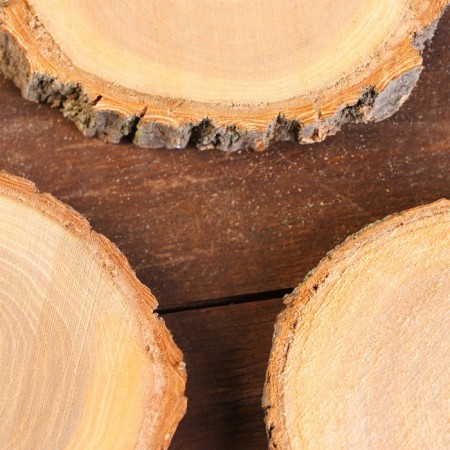 Set of oak saws 3pc 8x10x1cm-1