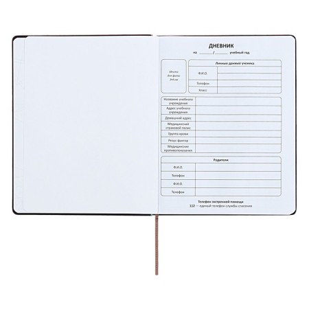 Universal diary for grades 1-11 "strip", solid cover of artificial leather, silkography, lies, 48 ​​sheets, chocolate+turquoise-3