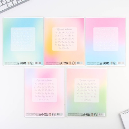 A notebook in the line of 12 sheets A5, on the paper clip "September 1: gradient", 5 types of mix, white 96%.-9