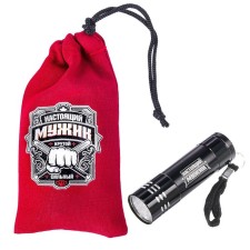 Flashlight in the case 